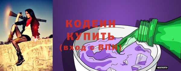 гашик Вяземский